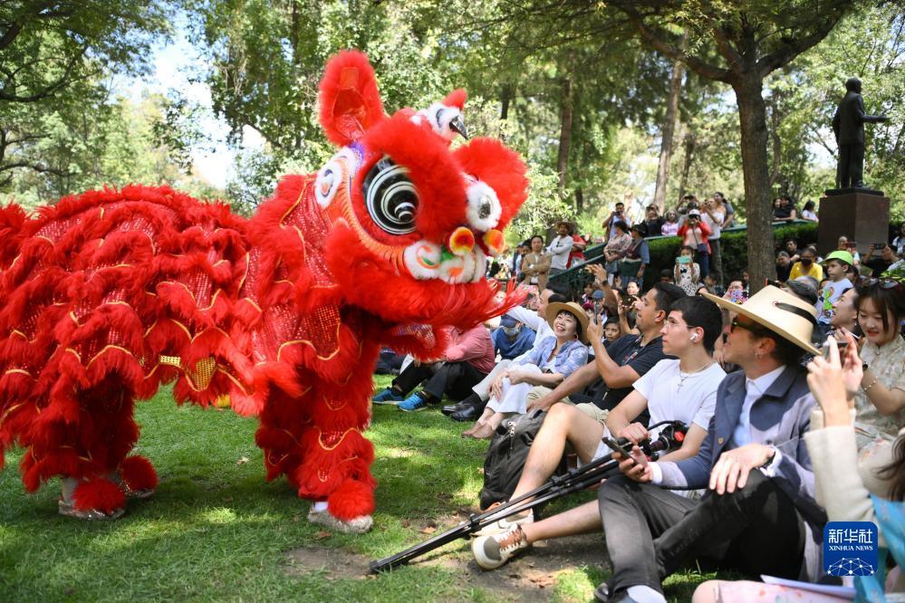 足球平台出租网
